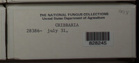 Image Associated With the Occurence